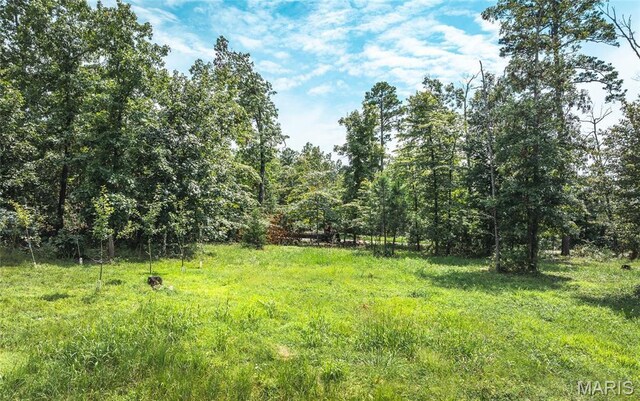 5430 Carter Route M, Van Buren, MO 63965 - photo 66