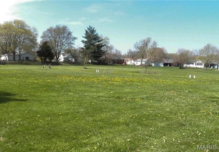 110 Krause St, Jerseyville, IL 62052 - photo 2