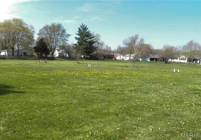 110 Krause St, Jerseyville, IL 62052 - photo 2