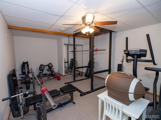 workout area with ceiling fan, a drop ceiling, and carpet flooring