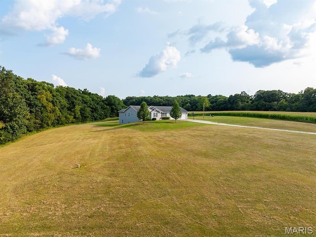 view of green lawn featuring driveway