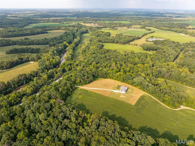 aerial view of a forest