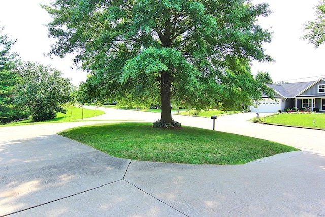 view of green lawn with driveway and a garage