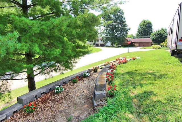 view of grassy yard