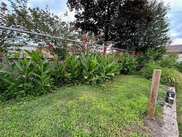 102 W Center St, Salem, MO 65560 - view of yard