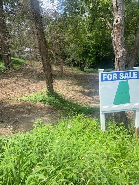 649 S Sappington Blvd, Oakland, MO 63122