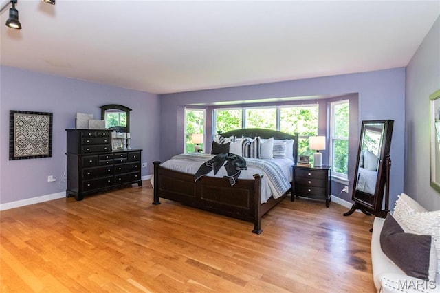 1010 Winter Lake Dr, Fenton, MO 63026 - bedroom featuring multiple windows, light wood-style floors, and baseboards