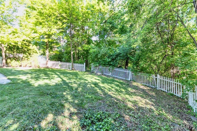 1010 Winter Lake Dr, Fenton, MO 63026 - view of yard