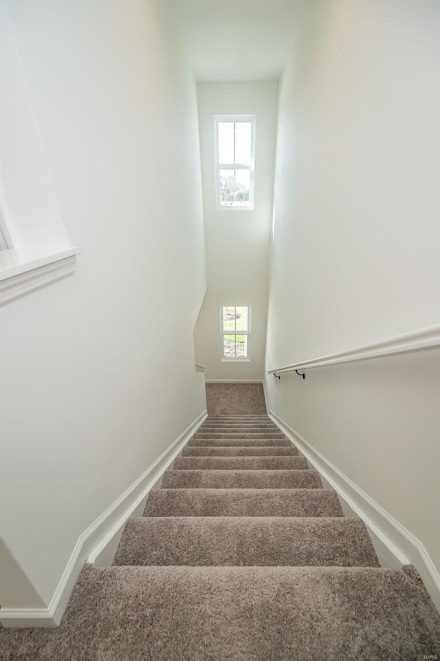 stairs featuring carpet floors, healthy amount of natural light, and baseboards