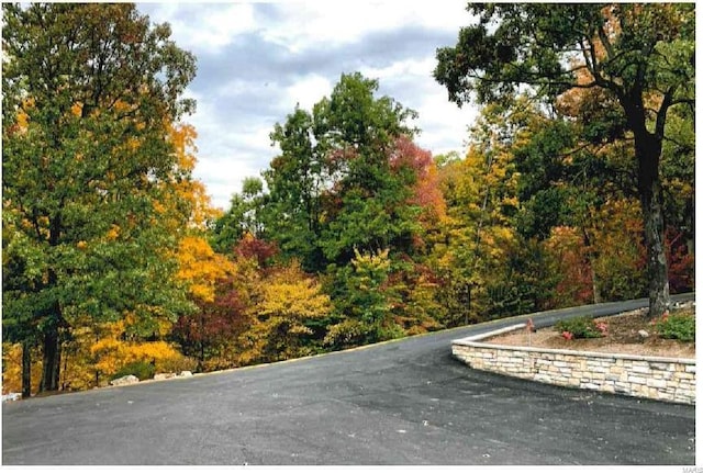 472 Ridgefield Dr, Cape Girardeau, MO 63701 - view of community with a wooded view