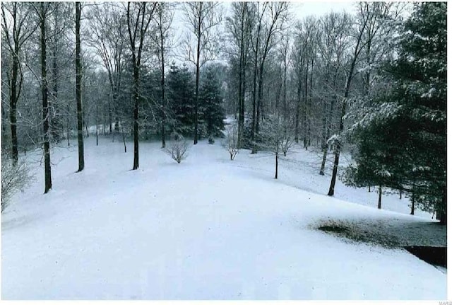 472 Ridgefield Dr, Cape Girardeau, MO 63701 - view of yard layered in snow