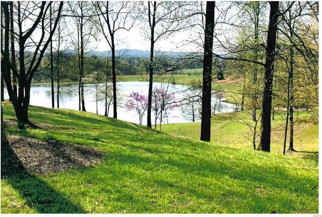 472 Ridgefield Dr, Cape Girardeau, MO 63701 - water view