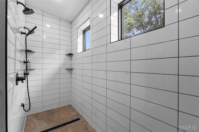 173 Tate Rdg, Cape Girardeau, MO 63701 - bathroom with a tile shower and plenty of natural light