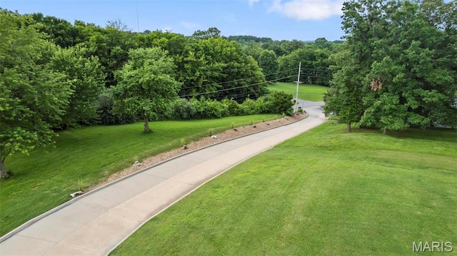 173 Tate Rdg, Cape Girardeau, MO 63701 - view of property's community featuring a yard