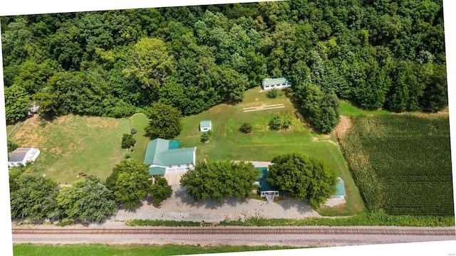10912 State Highway 77, Chaffee, MO 63740 - drone / aerial view of a heavily wooded area