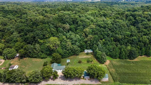 10912 State Highway 77, Chaffee, MO 63740 - aerial overview of property's location with a forest