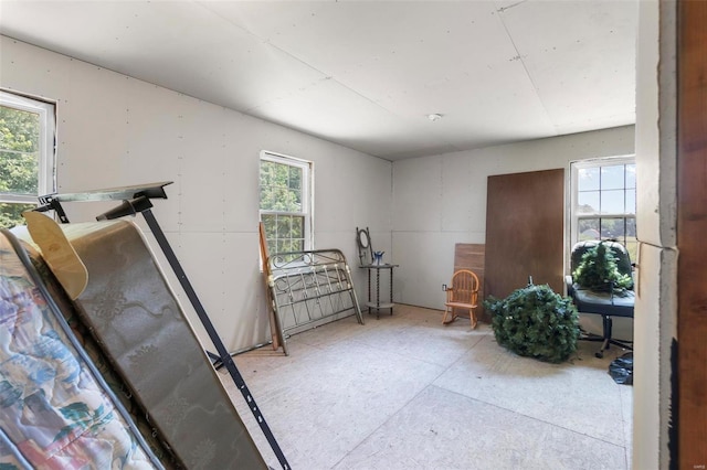 10912 State Highway 77, Chaffee, MO 63740 - view of exercise area