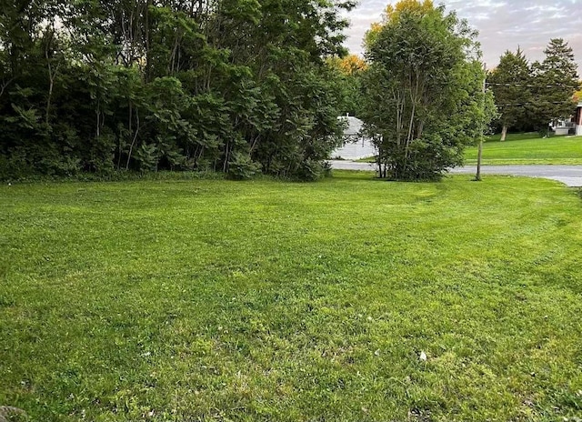 125 N Wood St, Staunton, IL 62088 - photo 1