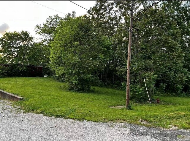 125 N Wood St, Staunton, IL 62088 - photo 3