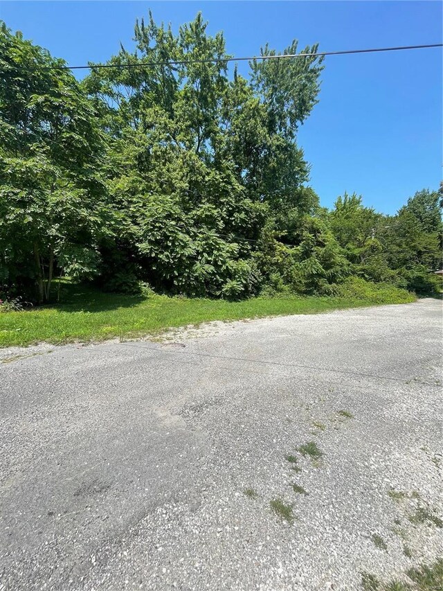 125 N Wood St, Staunton, IL 62088 - photo 4
