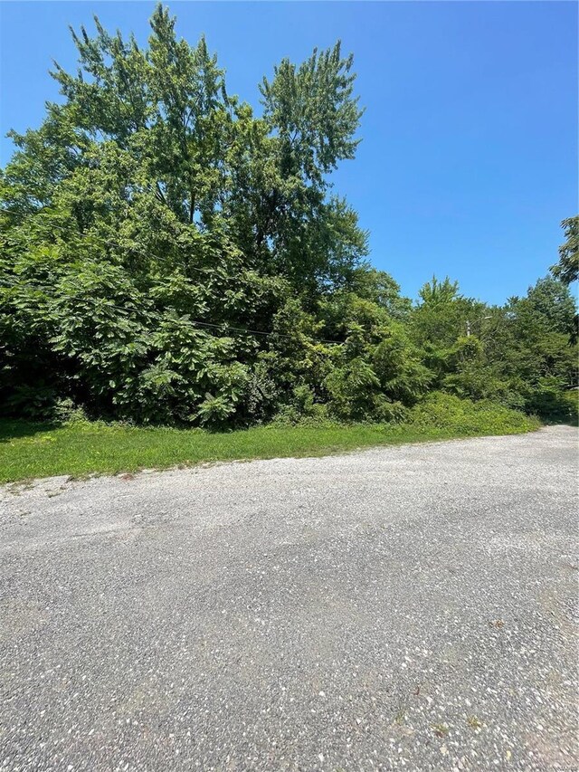 125 N Wood St, Staunton, IL 62088 - photo 6