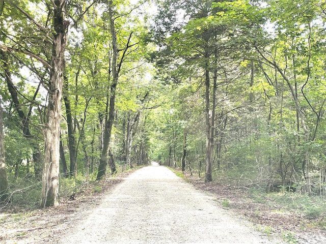 7102 Shadow Ln, Villa Ridge, MO 63089 - view of dirt / gravel road featuring a forest view