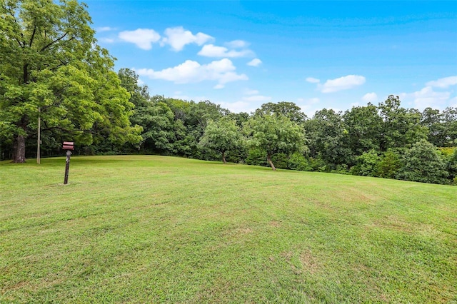 7102 Shadow Ln, Villa Ridge, MO 63089 - view of green lawn