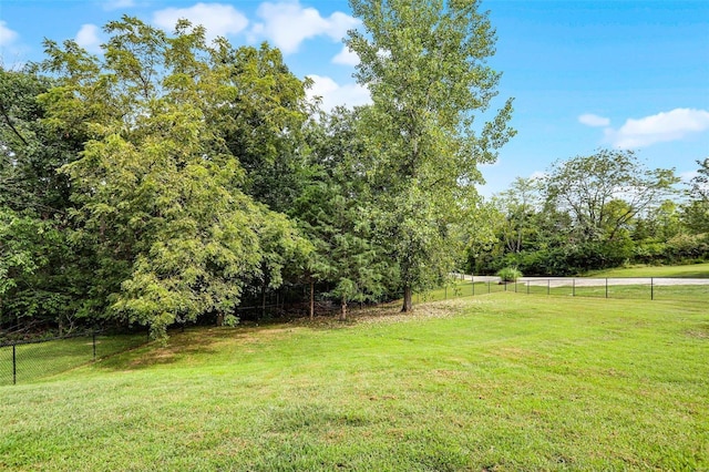 7102 Shadow Ln, Villa Ridge, MO 63089 - view of yard