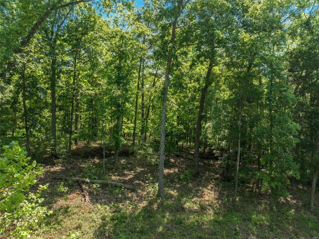 2545 Alpine Woods Dr, Innsbrook, MO 63390 - photo 3