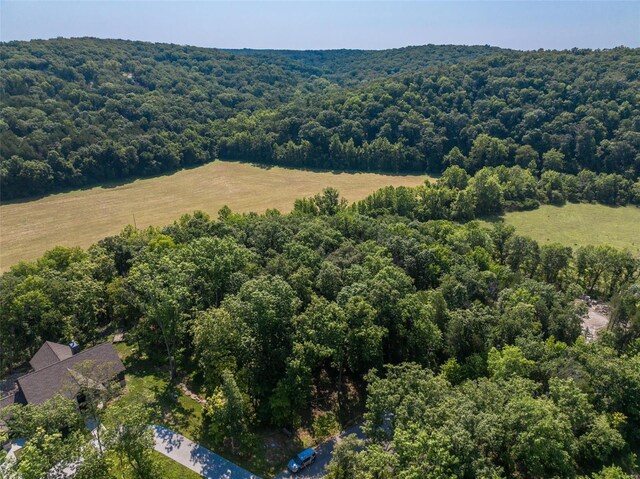 2545 Alpine Woods Dr, Innsbrook, MO 63390 - photo 4