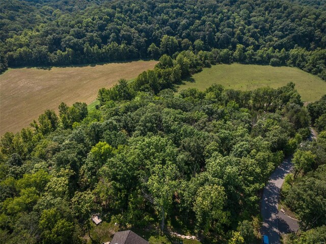 2545 Alpine Woods Dr, Innsbrook, MO 63390 - photo 5