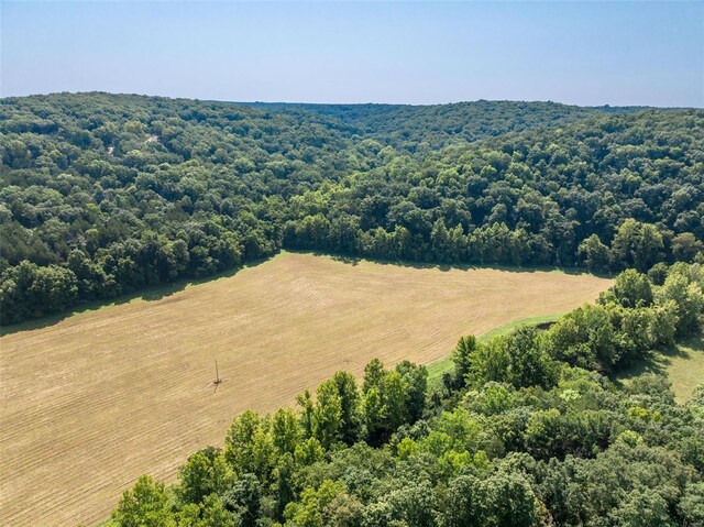 2545 Alpine Woods Dr, Innsbrook, MO 63390 - photo 7