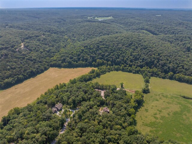 2545 Alpine Woods Dr, Innsbrook, MO 63390 - photo 10
