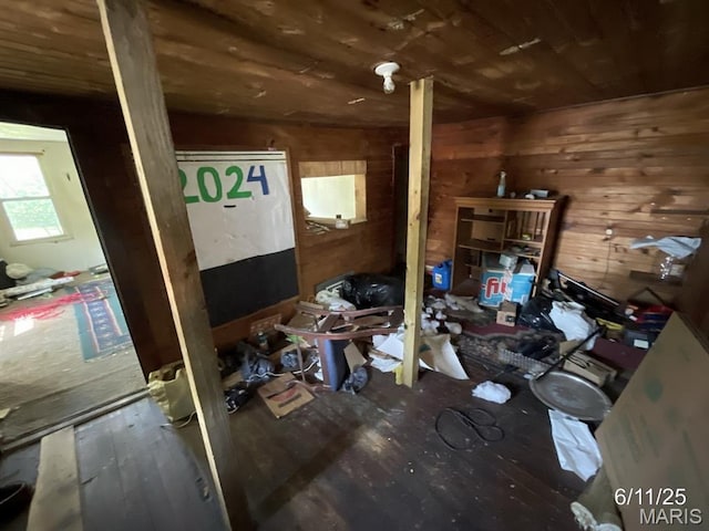407 Madison St, Kane, IL 62054 - photo 4