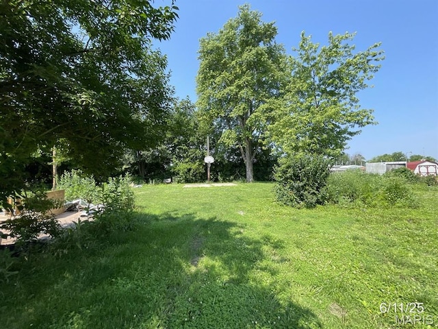 407 Madison St, Kane, IL 62054 - photo 10