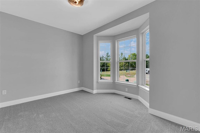 109 Quail Bluff Ct, Wentzville, MO 63385 - photo 18