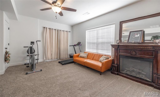 205 Zeigenbein Rd, Saint Robert, MO 65584 - photo 29