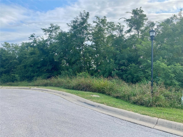 115 Carmel Ln, Washington, MO 63090