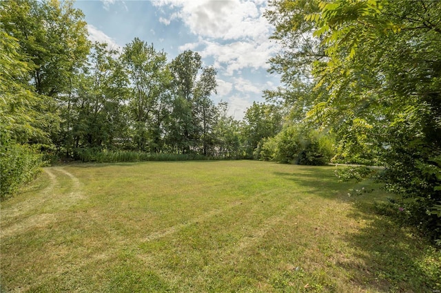 400 W W, New London, MO 63459 - view of green lawn