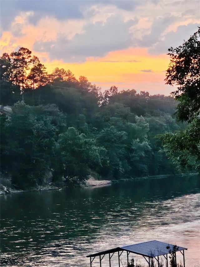 water view featuring a heavily wooded area