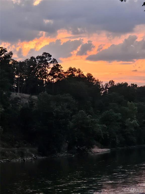 1901 River Valley Rd, Doniphan, MO 63935 - water view with a forest