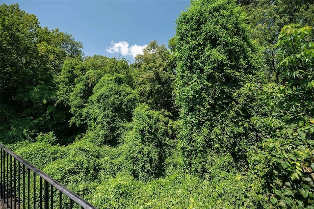 13579 Coliseum Dr Unit G, Chesterfield, MO 63017 - view of nature