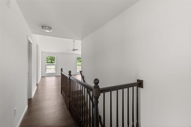 106 Harrow Dr, Ofallon, MO 63385 - hallway with an upstairs landing, dark wood-style flooring, and baseboards