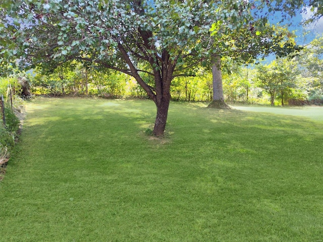 1385 Parkway Dr, Bismarck, MO 63624 - view of grassy yard