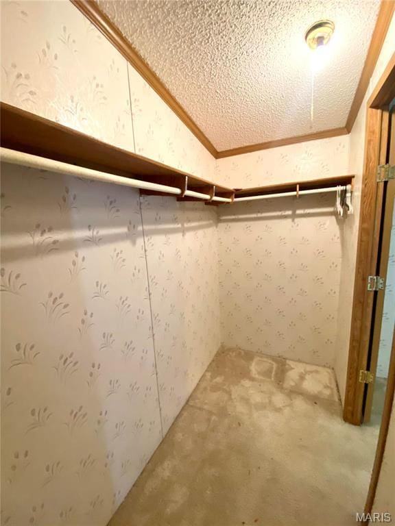 610 N Caldwell St, Middletown, MO 63359 - spacious closet featuring carpet floors
