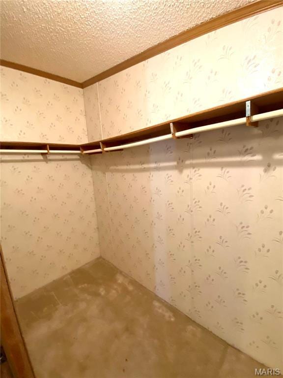 610 N Caldwell St, Middletown, MO 63359 - view of walk in closet