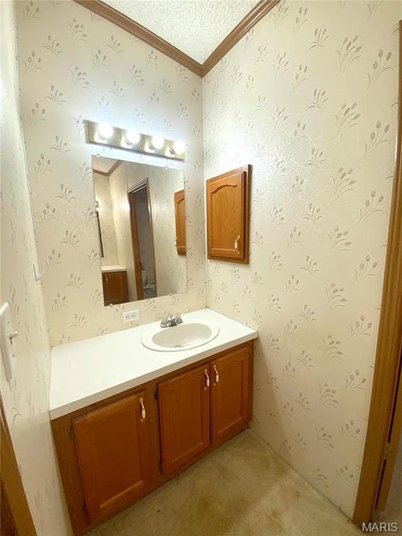 610 N Caldwell St, Middletown, MO 63359 - bathroom featuring vanity, ornamental molding, and a textured ceiling