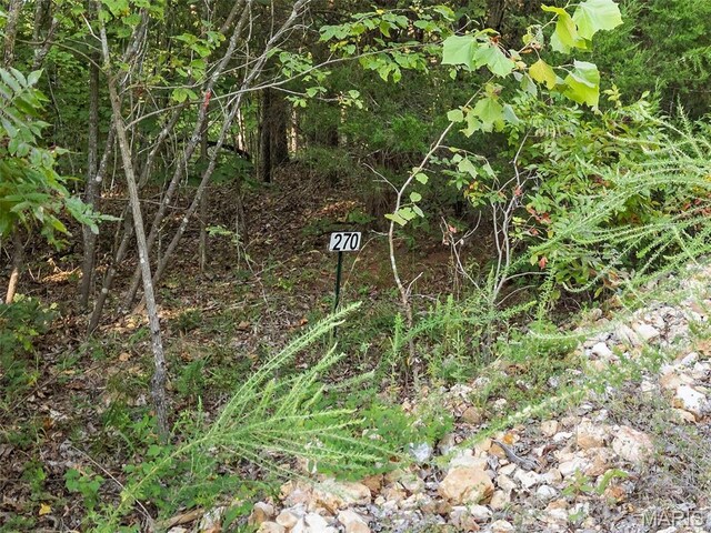 270 Bridal Spur, Bourbon, MO 65441 - photo 12