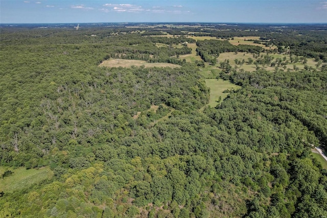 28 Acacia Dr, Conway, MO 65632 - aerial overview of property's location with a heavily wooded area