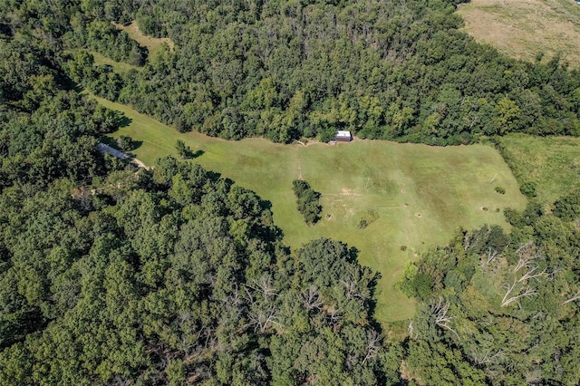 28 Acacia Dr, Conway, MO 65632 - aerial view of property's location with a forest